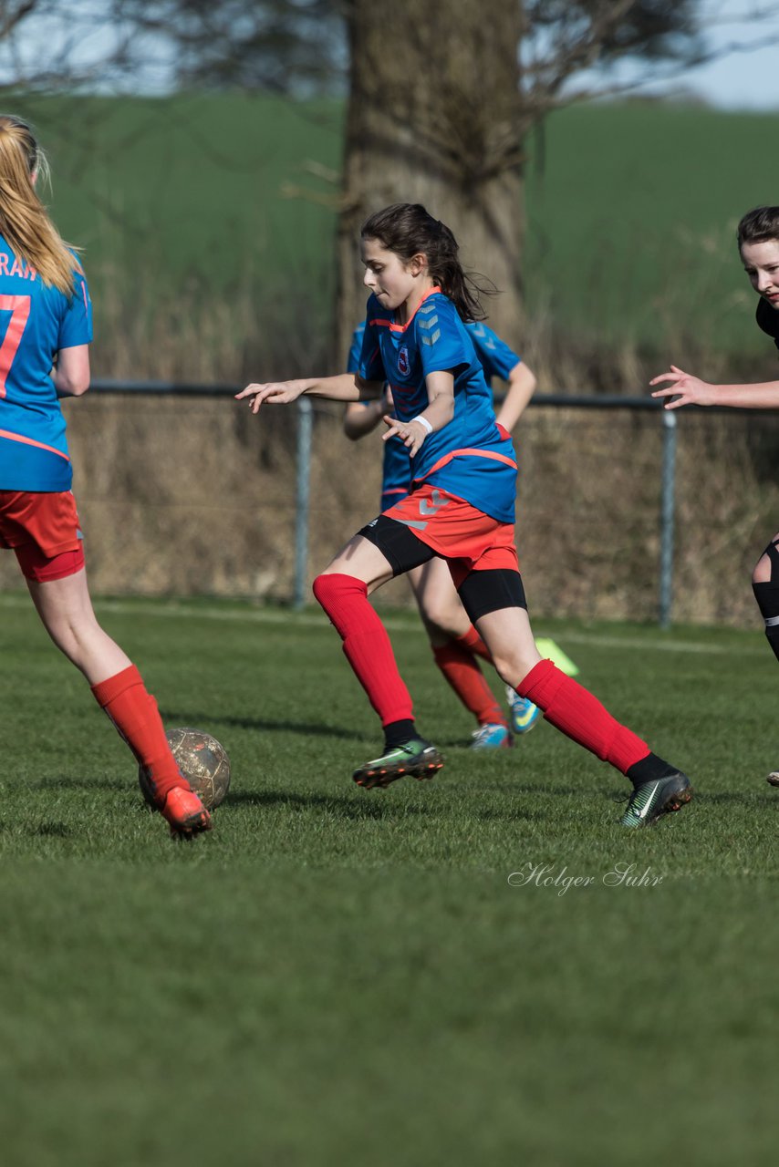 Bild 234 - C-Juniorinnen SV Steinhorst/Labenz - TSV Friedrichsberg-Busdorf : Ergebnis: 5:0